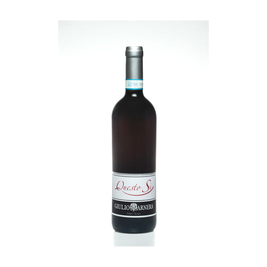 Piemonte Cabernet Sauvignon DOC “Questo Sì” 2019